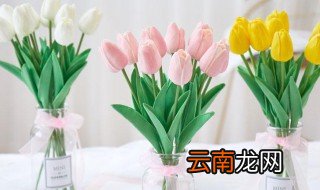 郁金香插花瓶后可以放在卧室吗