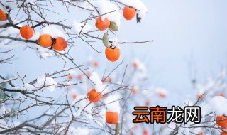 2021年腊月二十四是几月几号 腊月二十四是什么日子