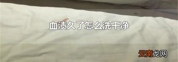 血渍久了怎么洗干净
