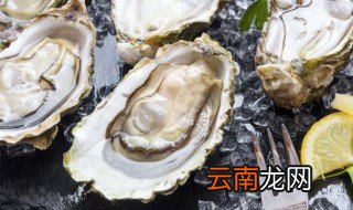 蒸海蛎子 蒸海蛎子的烹饪方法