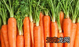 牛肉炖胡萝卜 牛肉炖胡萝卜的烹饪方法