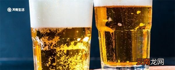 啤酒的用处 啤酒的用处有哪些