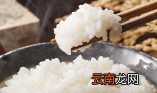 一个人煮干饭要怎么煮 一个人煮干饭要如何煮