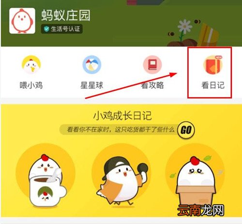 支付宝中蚂蚁庄园更改小鸡姓名具体操作方法