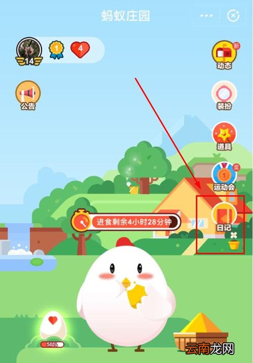 支付宝中蚂蚁庄园更改小鸡姓名具体操作方法