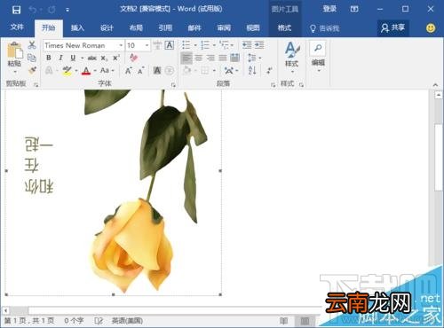 Word2016画精美卡片怎么操作