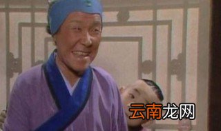 刘姥姥一进荣国府概括 刘姥姥一进荣国府的主要内容