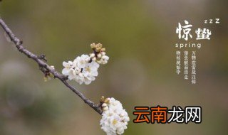 月夜反映的是哪个节气 月夜反映的是惊蛰吗