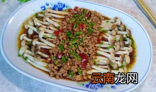 海鲜菇做法 肉末海鲜菇好吃的做法