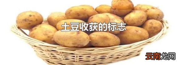 土豆收获的标志