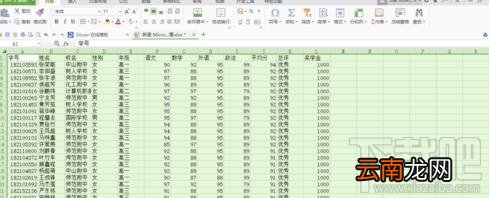 WPS表格怎么制作智能成绩查询系统