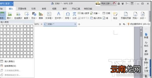 wps怎样制作漂亮的表格