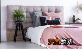 猪笼草放家里好吗 猪笼草可以放在卧室吗