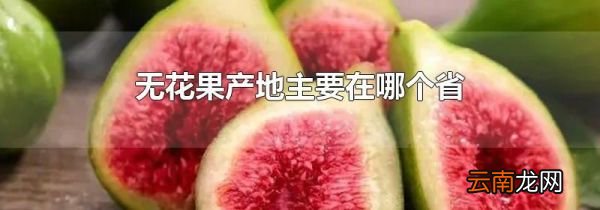 无花果产地主要在哪个省