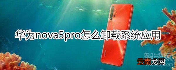 华为nova5pro怎么卸载系统应用