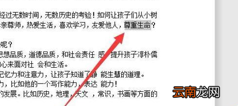 wps2019划词翻译具体操作流程