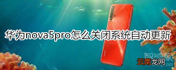 华为nova5pro怎么关闭系统自动更新