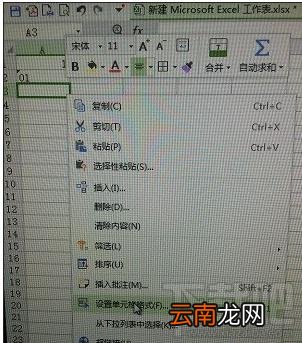 excel中如何输入01？excel中输入01的方法