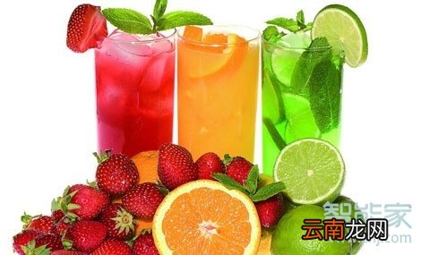榨汁机可以榨哪些东西