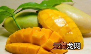 芒果放冷藏还是常温保存好 芒果放冷藏还是常温保存好些