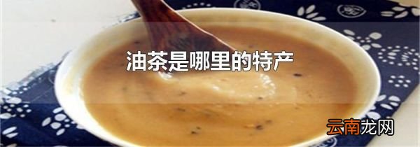 油茶是哪里的特产