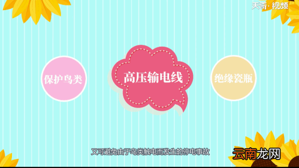 鸟为什么可以站在高压电线上 鸟为何能站在高压电线上