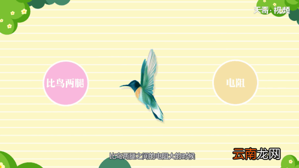 鸟为什么可以站在高压电线上 鸟为何能站在高压电线上