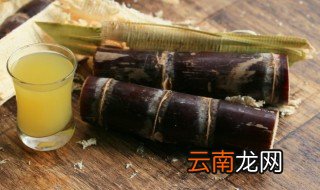 甘蔗怎么读 甘蔗如何读