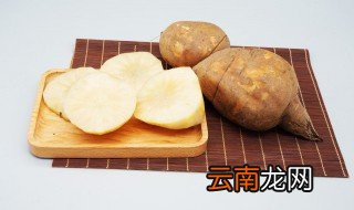 雪莲果是冷藏还是常温保存 雪莲果是冷藏还是常温保存好