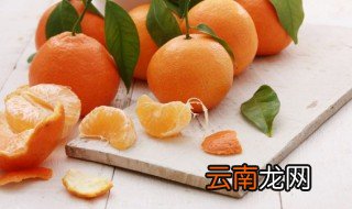 丑橘的储藏温度 丑橘常温还是冷藏保存