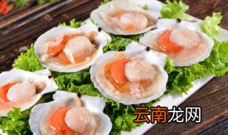 扇贝的哪些部位不能吃 扇贝的什么部位不能吃
