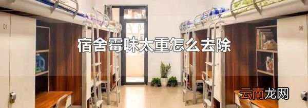 宿舍霉味太重怎么去除