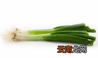 小葱应该常温保存还是冷藏 小葱保存放冷冻还是冷藏