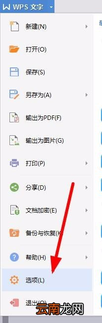 WPS设置禁止标点符号在行首显示具体操作流程