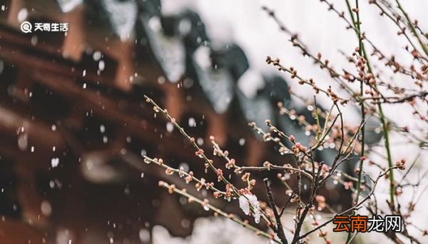为什么说下雪不冷化雪冷 下雪不冷化雪冷的原因是什么