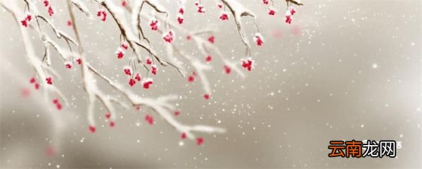 为什么说下雪不冷化雪冷 下雪不冷化雪冷的原因是什么