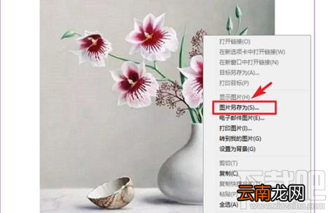 微信文章复制到word图片不显示怎么办?