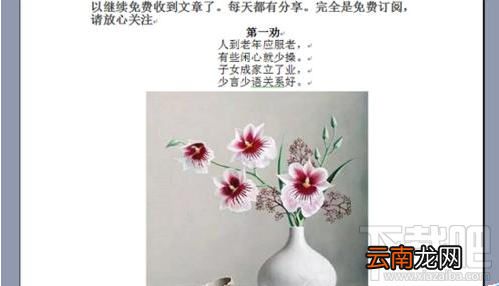 微信文章复制到word图片不显示怎么办?