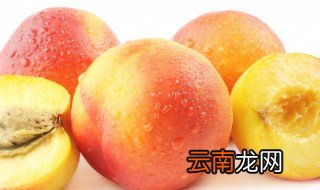 毛桃冷藏还是常温保存好 毛桃应该冷藏保存还是常温