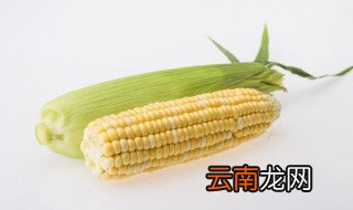 玉米需要冷藏还是保鲜 玉米是常温保存还是冷藏