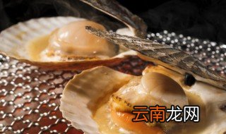 冰冻贻贝肉怎么清洗干净 清洗冰冻贻贝肉方法