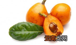 枇杷膏是常温保存还是冷藏 枇杷膏常温下可以保存多久