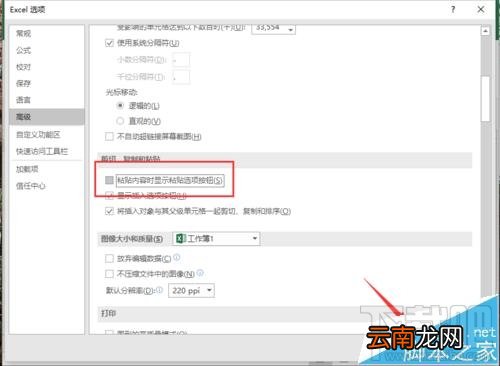 Excel2016要怎么取消单元格右下角显示粘贴的选项