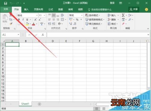 Excel2016要怎么取消单元格右下角显示粘贴的选项