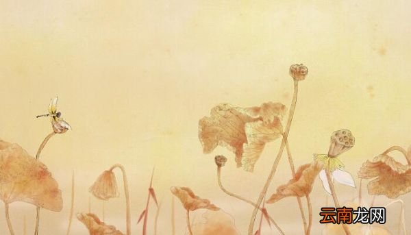 赠刘景文的意思 赠刘景文的诗意是什么