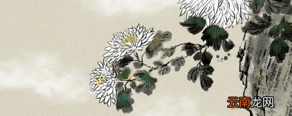 赠刘景文的意思 赠刘景文的诗意是什么