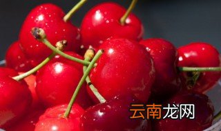 车厘子放常温还是冷藏 车厘子冷藏还是常温保存