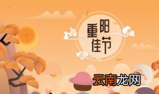 独在异乡为异客是什么节日 独在异乡为异客是哪个传统节日
