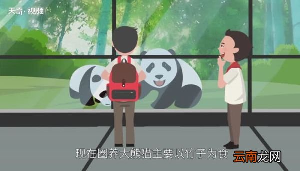 大熊猫生活在什么地方 大熊猫生活在哪里