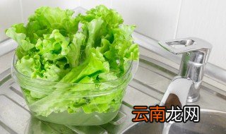 生菜常温还是冷藏保存好 生菜常温保存还是放冰箱
